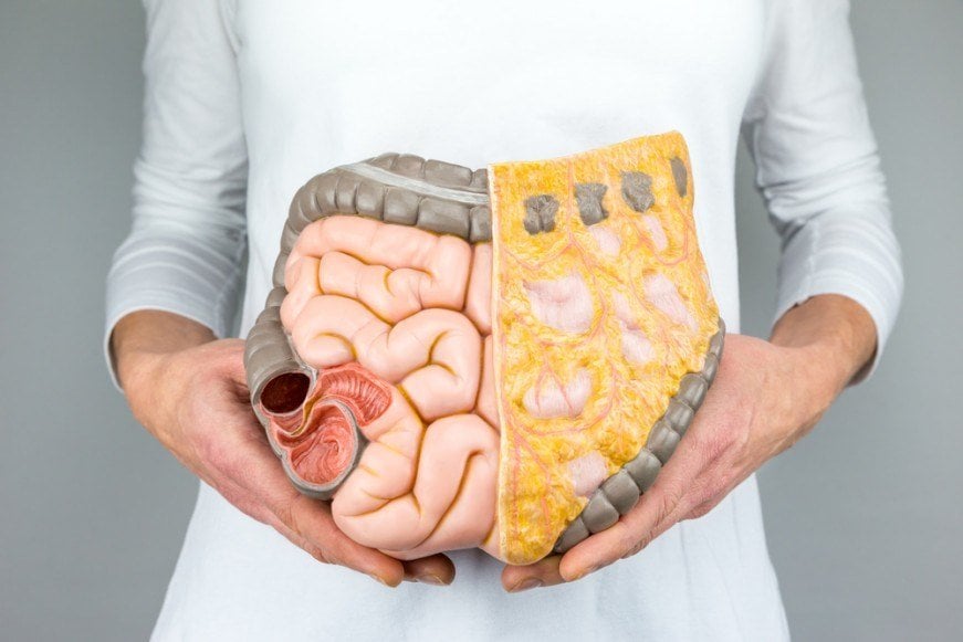 Gut health and weight loss, good gut bacteria | Shawn Phillips Holistic Personal Trainer Los Angeles