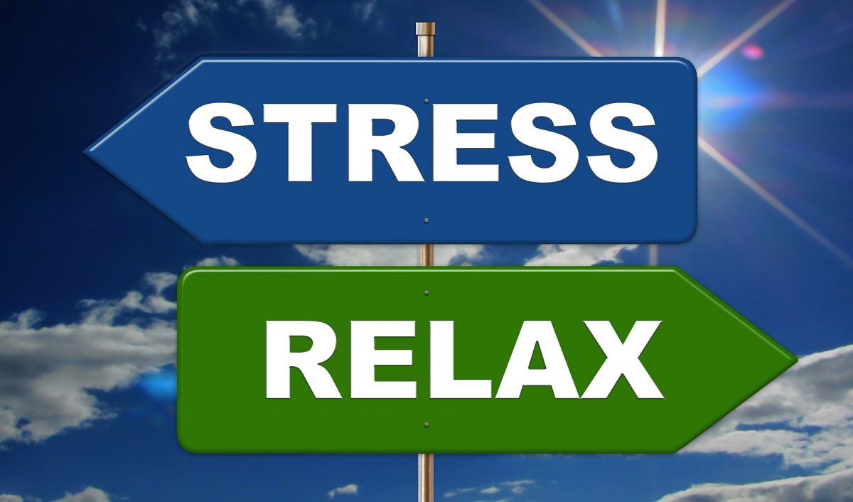 stress and weight loss | Shawn Phillips Personal Trainer Los Angeles