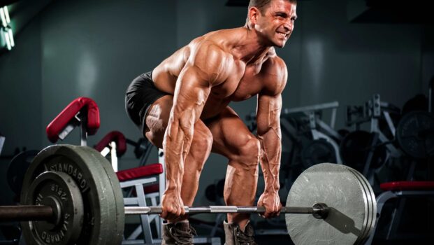 powerlifting vs bodybuilding