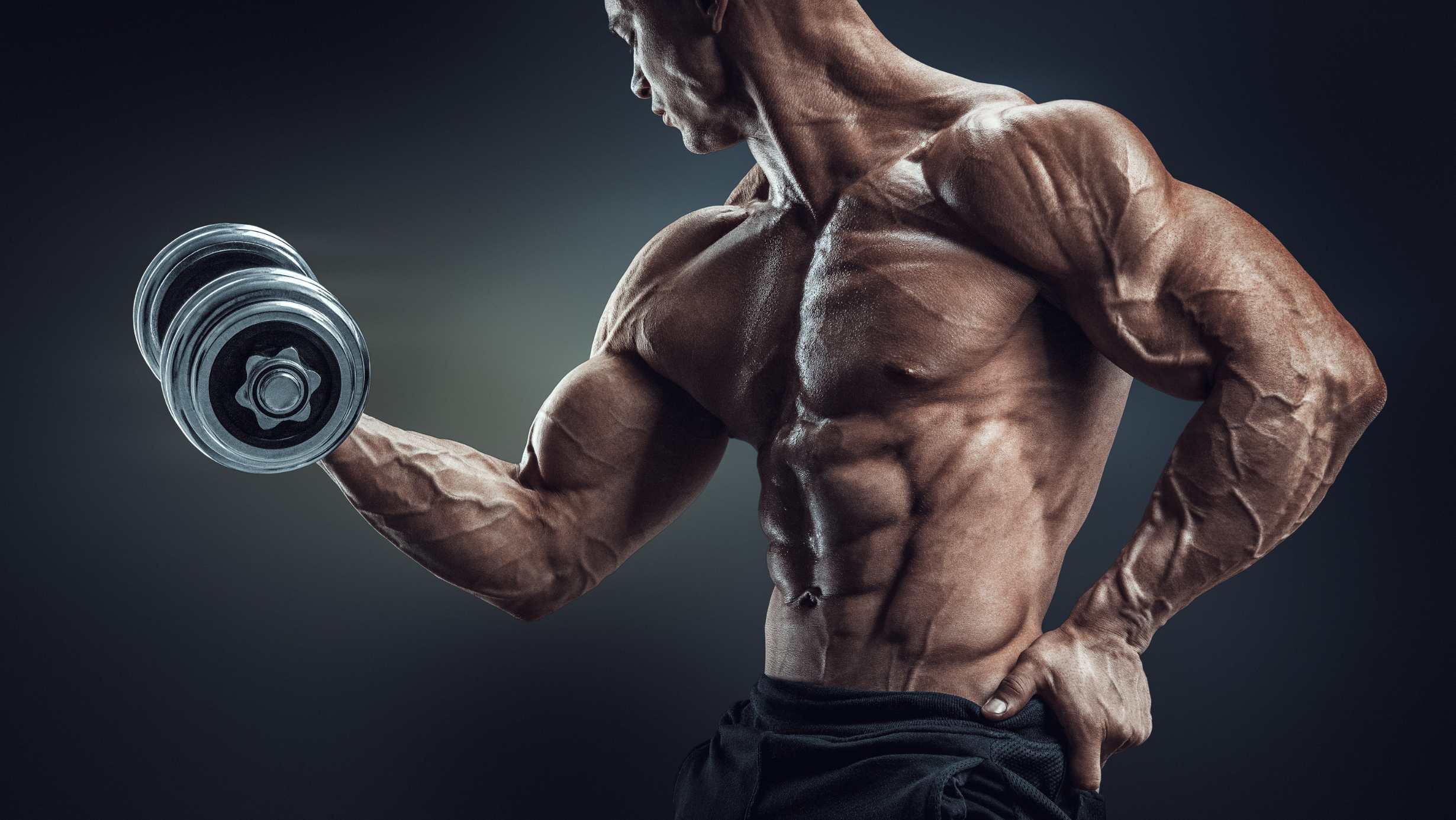 powerlifter vs bodybuilder