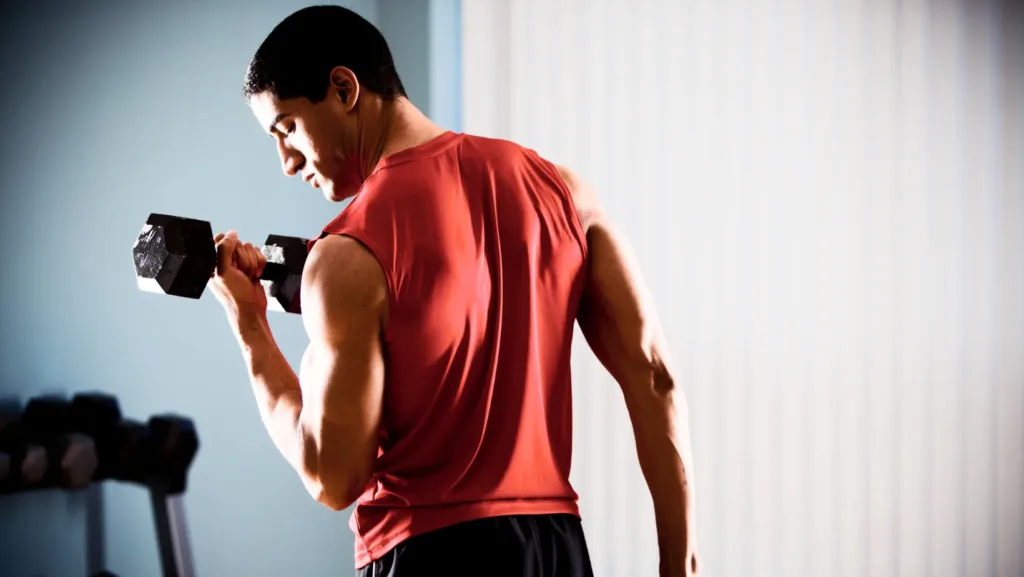 workout biceps
