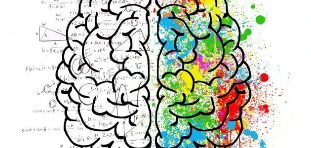 inhibitory neurotransmitters, Brain health, brain health supplements | Shawn Phillips Personal Trainer, Nutritionist Los Angeles