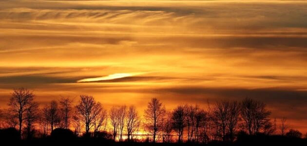 Sunset, benefits of sunlight, lack of sunlight | Shawn Phillips Personal Trainer & Nutritionist Los Angeles