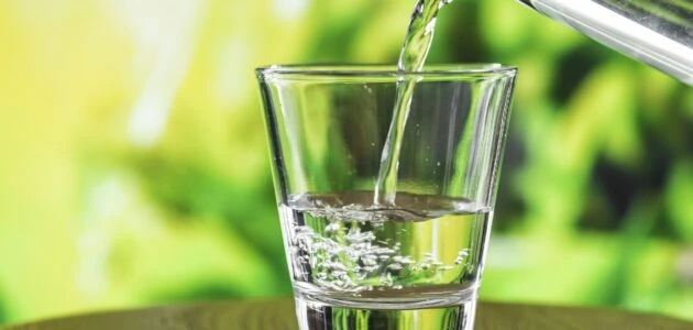 estrogen dominance, detox and weight loss, body detox for weight loss | Shawn Phillips Personal Trainer & Nutritionist Los Angeles